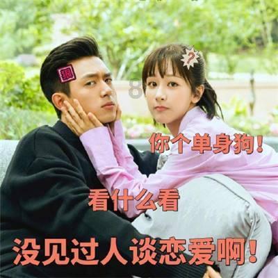 拯救可爱猫王
